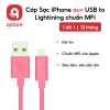 cap au usb to lightning scaled